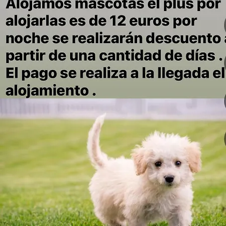 דירה Rondabella 3 Parking Gratis Centro Ciudad *